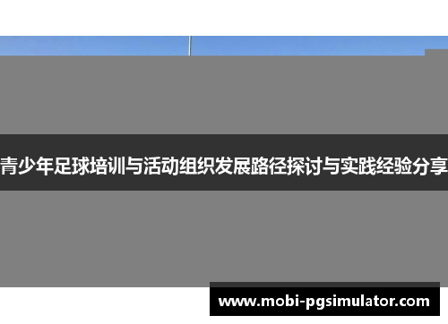 青少年足球培训与活动组织发展路径探讨与实践经验分享