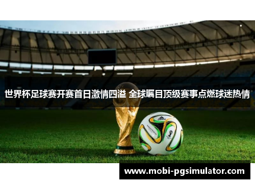 世界杯足球赛开赛首日激情四溢 全球瞩目顶级赛事点燃球迷热情