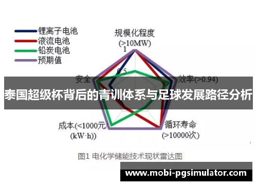 泰国超级杯背后的青训体系与足球发展路径分析