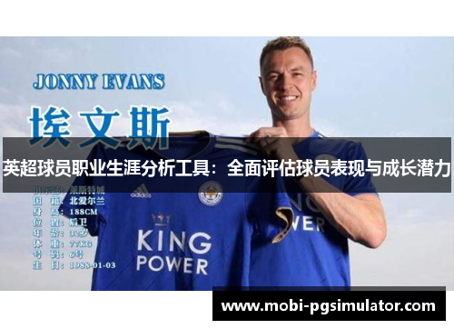 英超球员职业生涯分析工具:全面评估球员表现与成长潜力