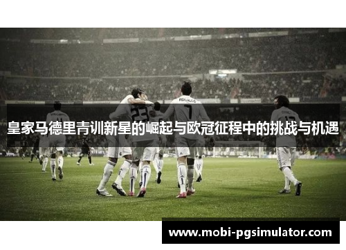 皇家马德里青训新星的崛起与欧冠征程中的挑战与机遇