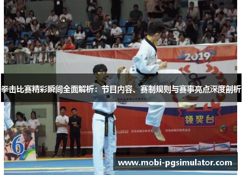 拳击比赛精彩瞬间全面解析:节目内容、赛制规则与赛事亮点深度剖析