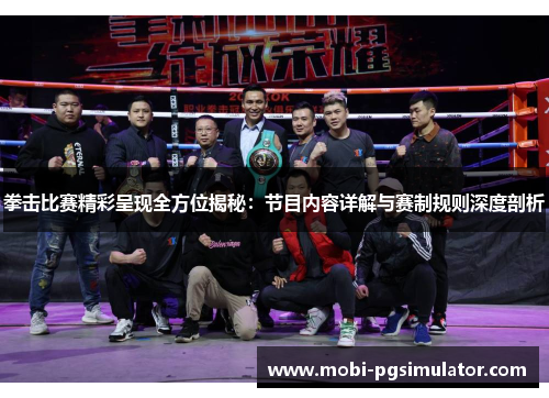 拳击比赛精彩呈现全方位揭秘：节目内容详解与赛制规则深度剖析