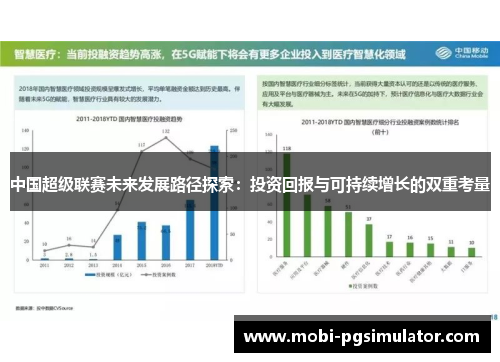中国超级联赛未来发展路径探索:投资回报与可持续增长的双重考量