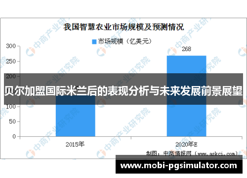 贝尔加盟国际米兰后的表现分析与未来发展前景展望