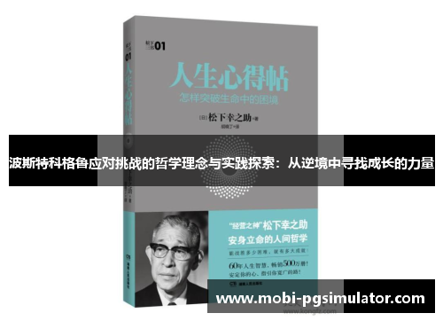波斯特科格鲁应对挑战的哲学理念与实践探索:从逆境中寻找成长的力量