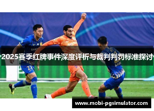 2025赛季红牌事件深度评析与裁判判罚标准探讨