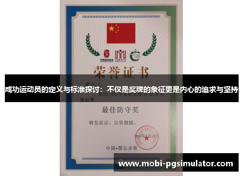 成功运动员的定义与标准探讨：不仅是奖牌的象征更是内心的追求与坚持
