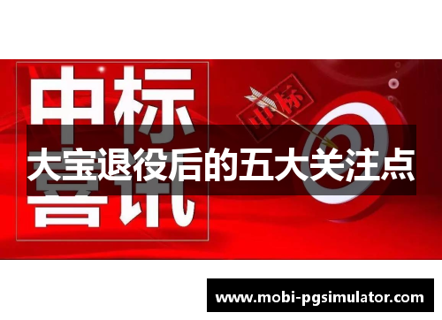 大宝退役后的五大关注点