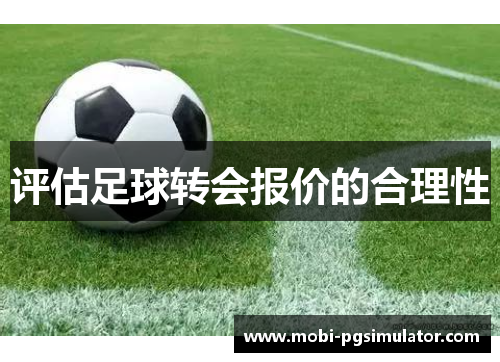 评估足球转会报价的合理性
