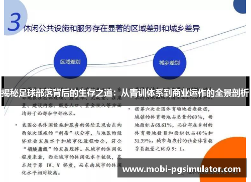 揭秘足球部落背后的生存之道：从青训体系到商业运作的全景剖析